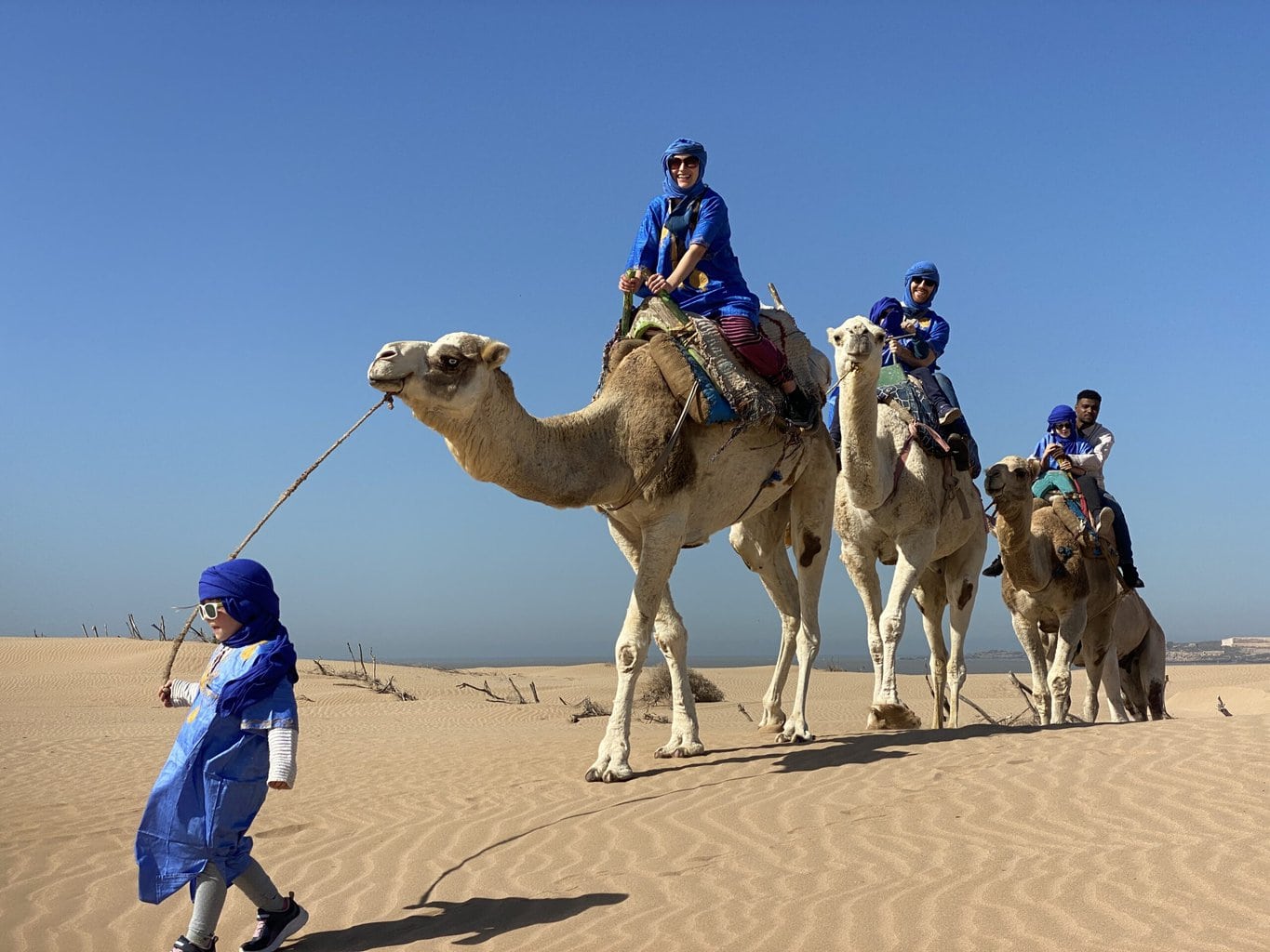 Camel Ride at the Palmeraie