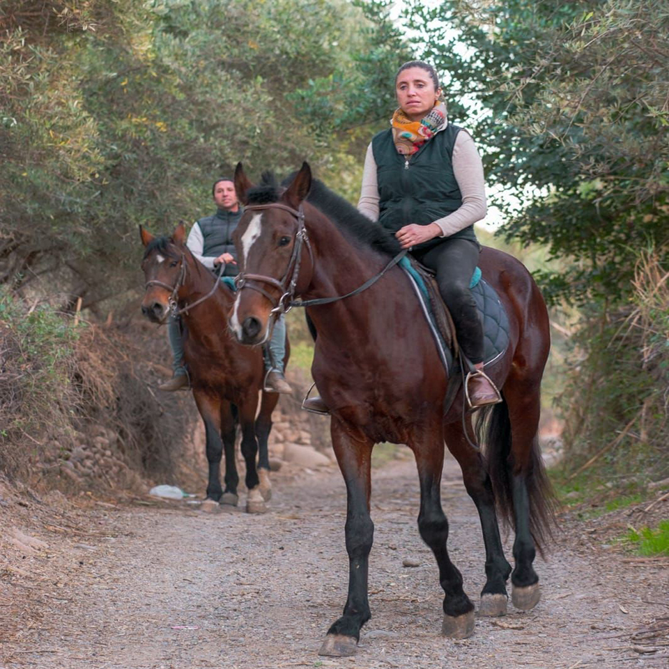 Horseback riding in the Atlas Mountains