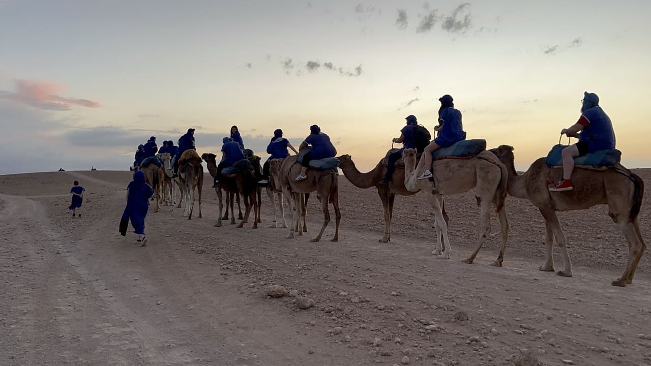 Quad and Camel at Sunset - photo 2
