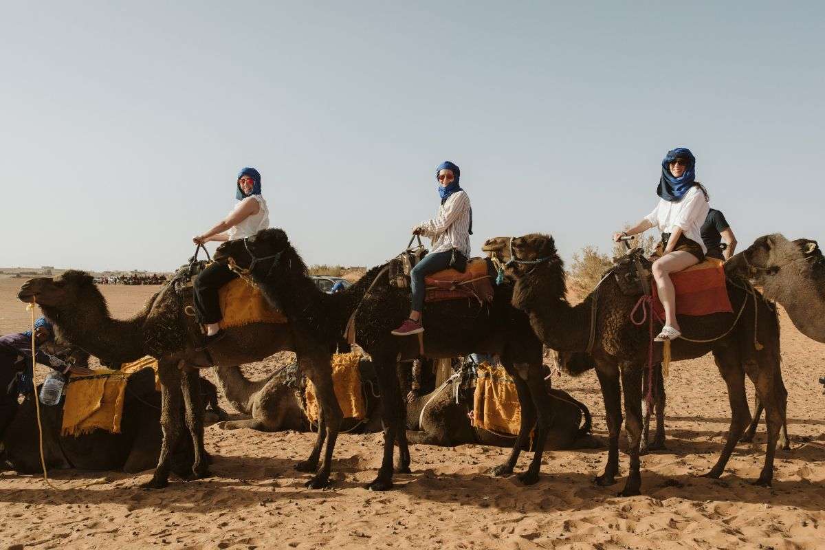 Camel Ride at the Palmeraie - photo 2