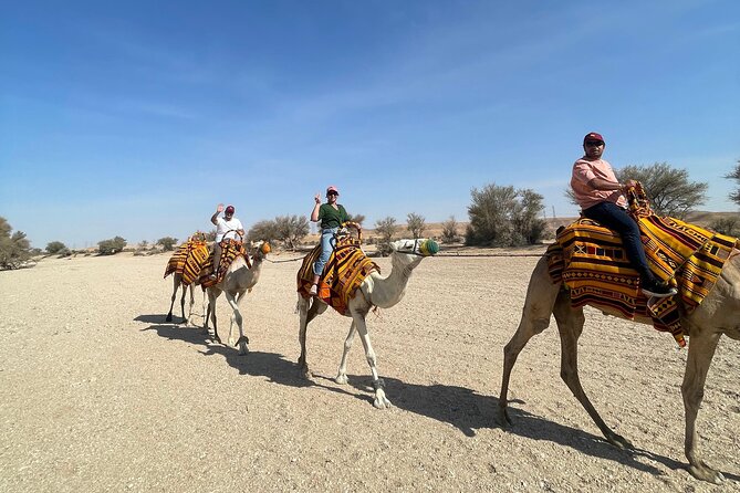 Camel Ride at the Palmeraie - photo 4