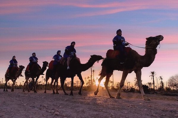 Camel Ride at the Palmeraie - photo 5
