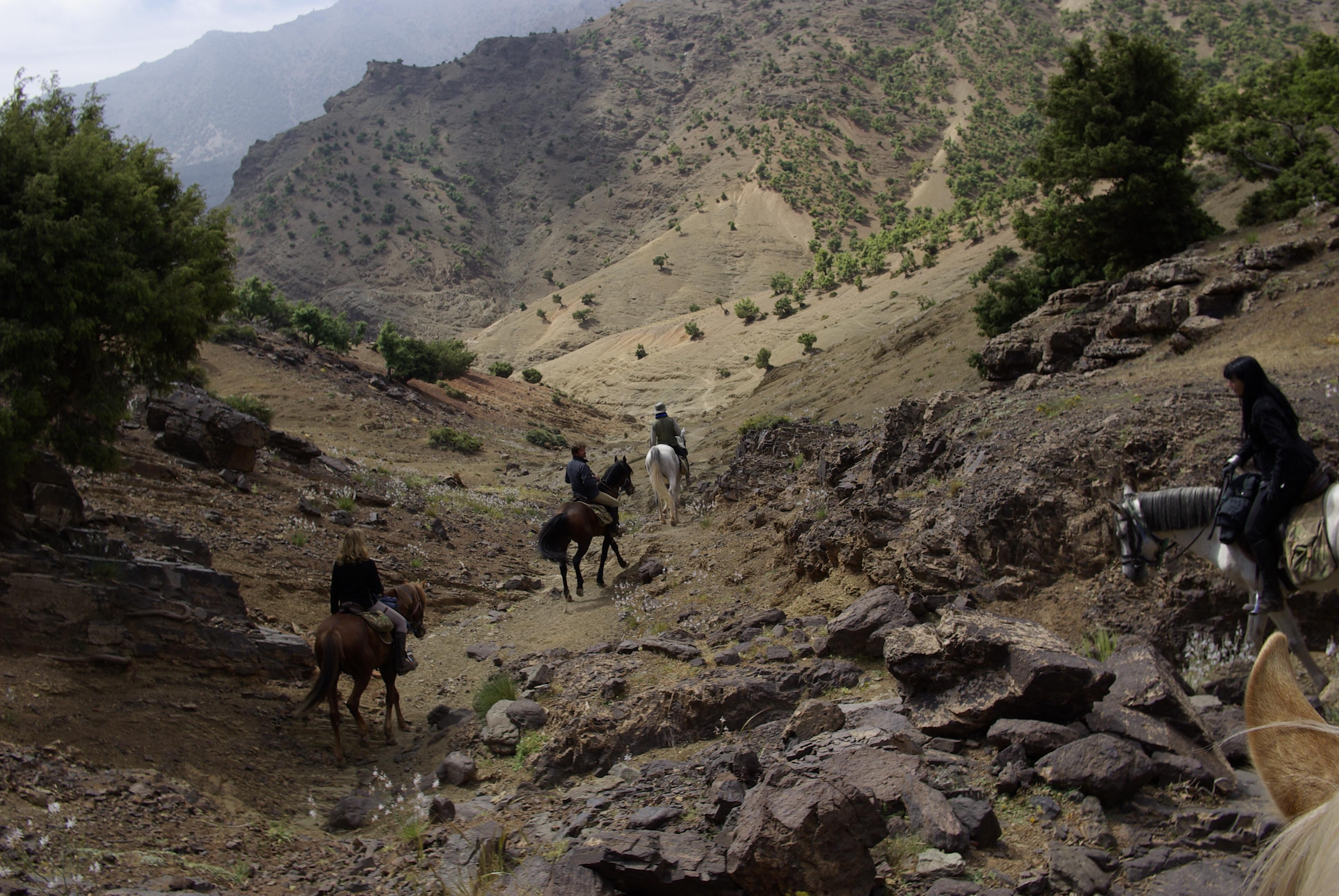 Horseback riding in the Atlas Mountains - photo 2