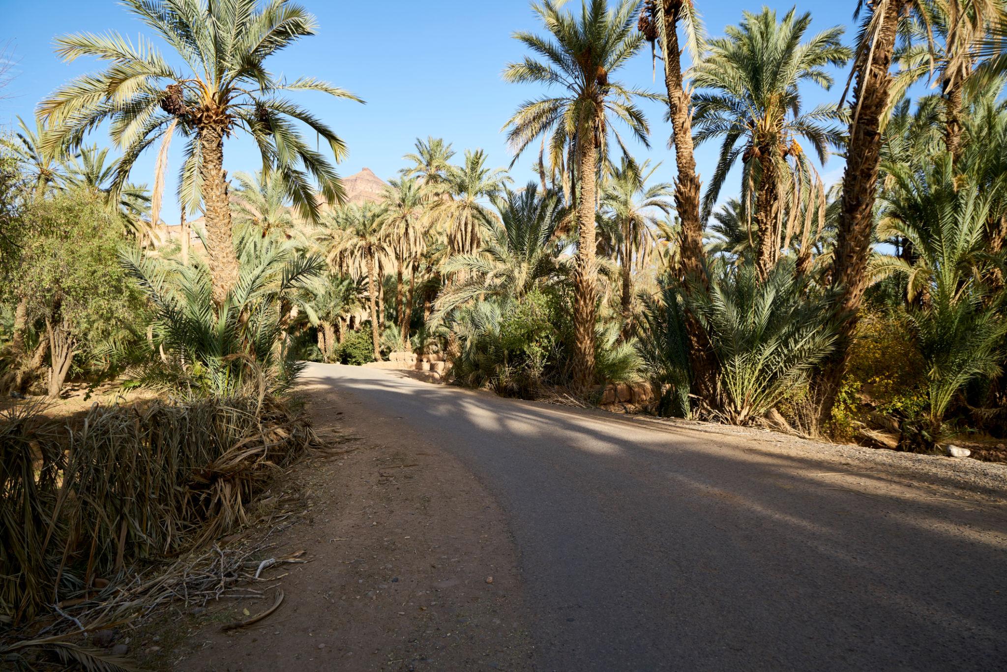 Merzouga 3-Day Tour - photo 4