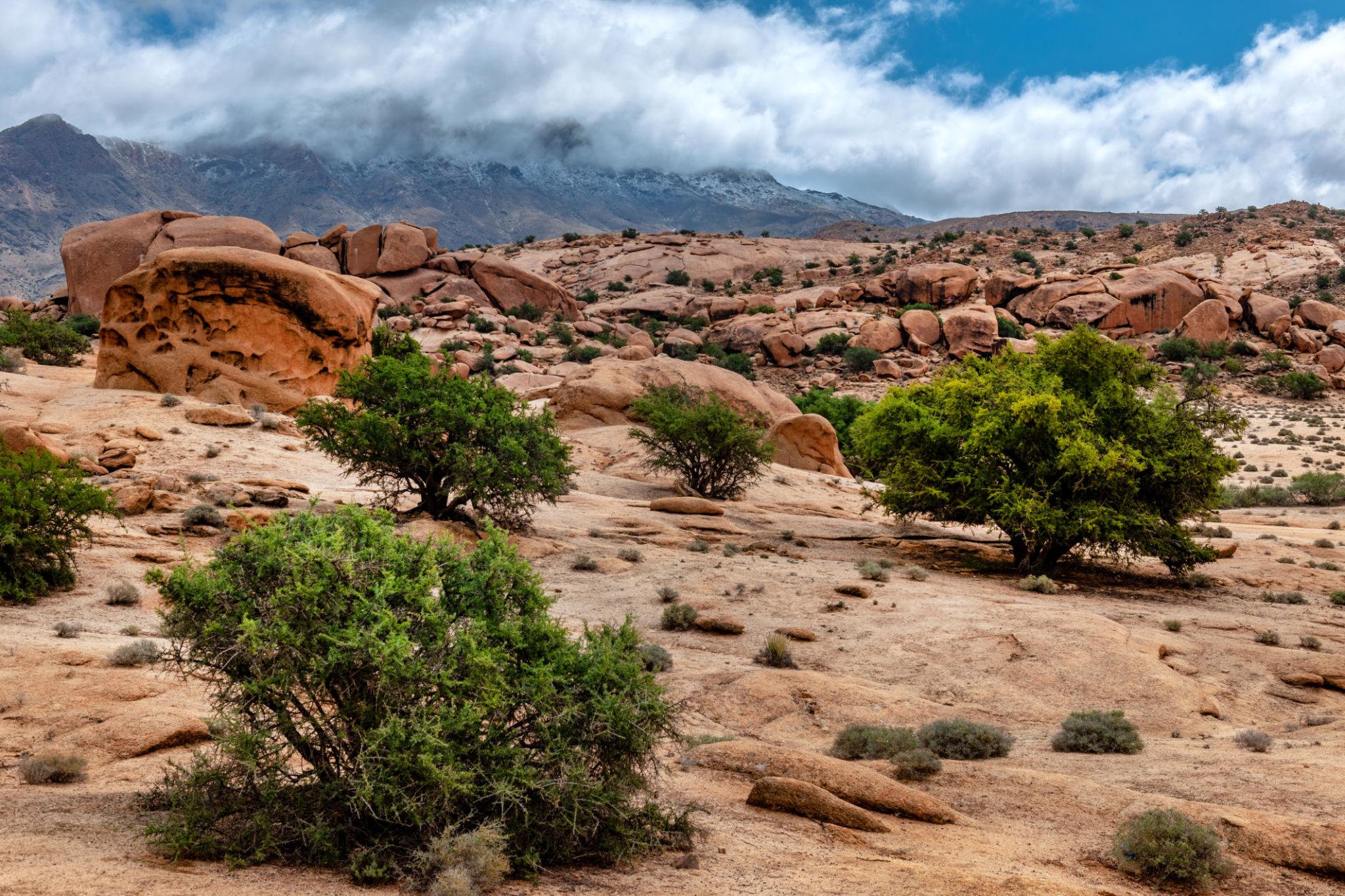 5-Day Tour: Gold of Oases & Berber Traditions - photo 3