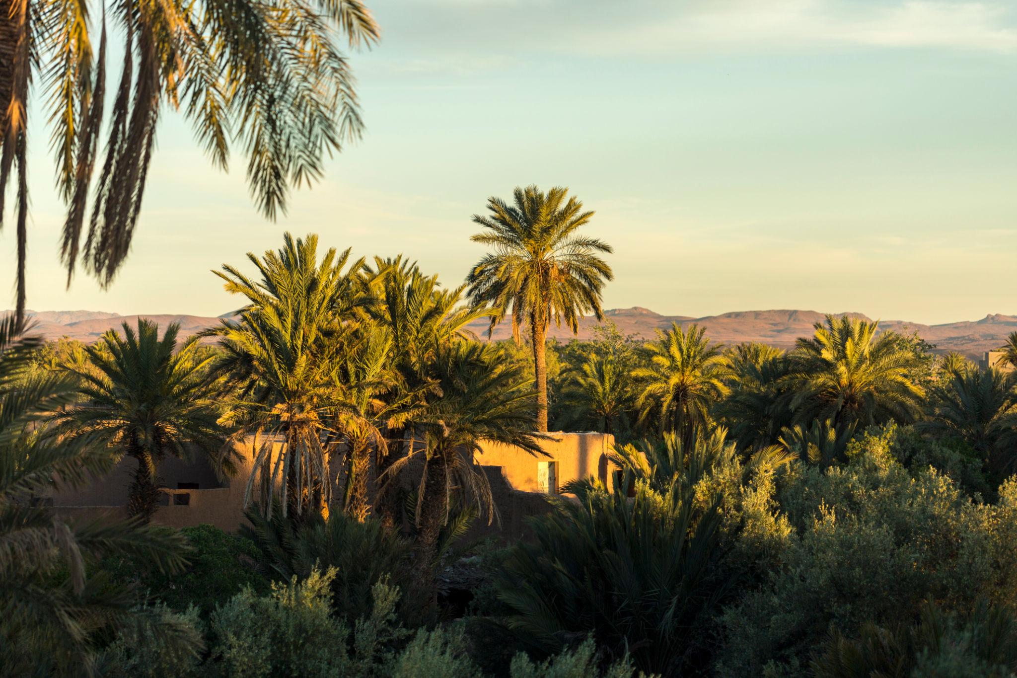 Imperial Cities & Desert Circuit – 12 Days / 11 Nights