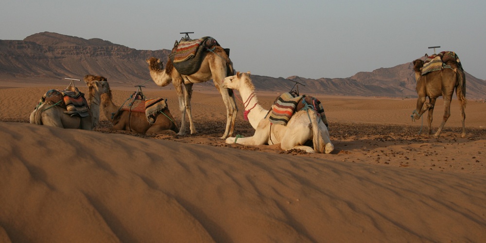The Magic of the Atlas and the South (5 days / 4 nights) - photo 4