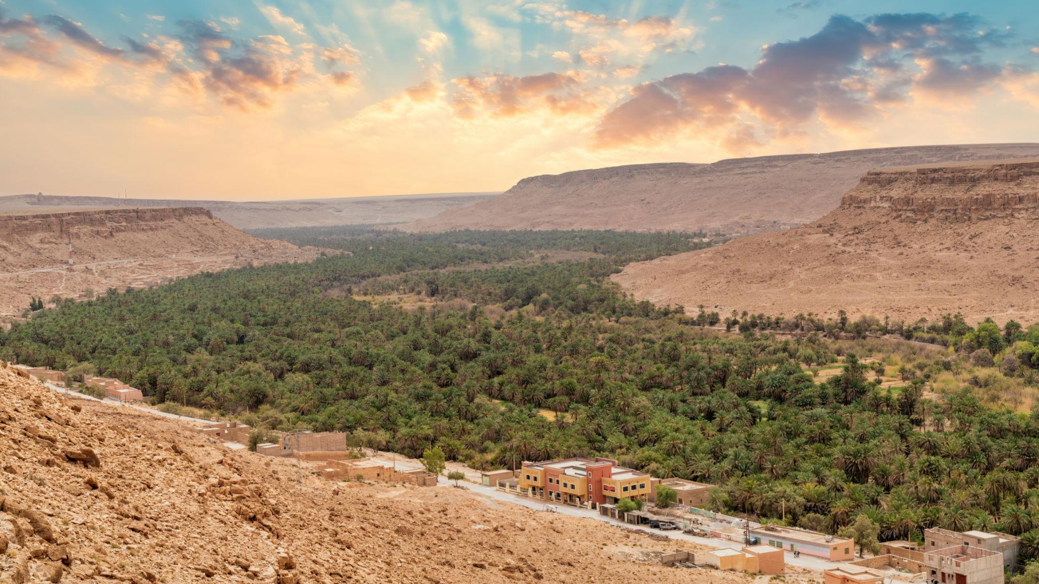 7-day tour: El Mharech & Ramlia - photo 2