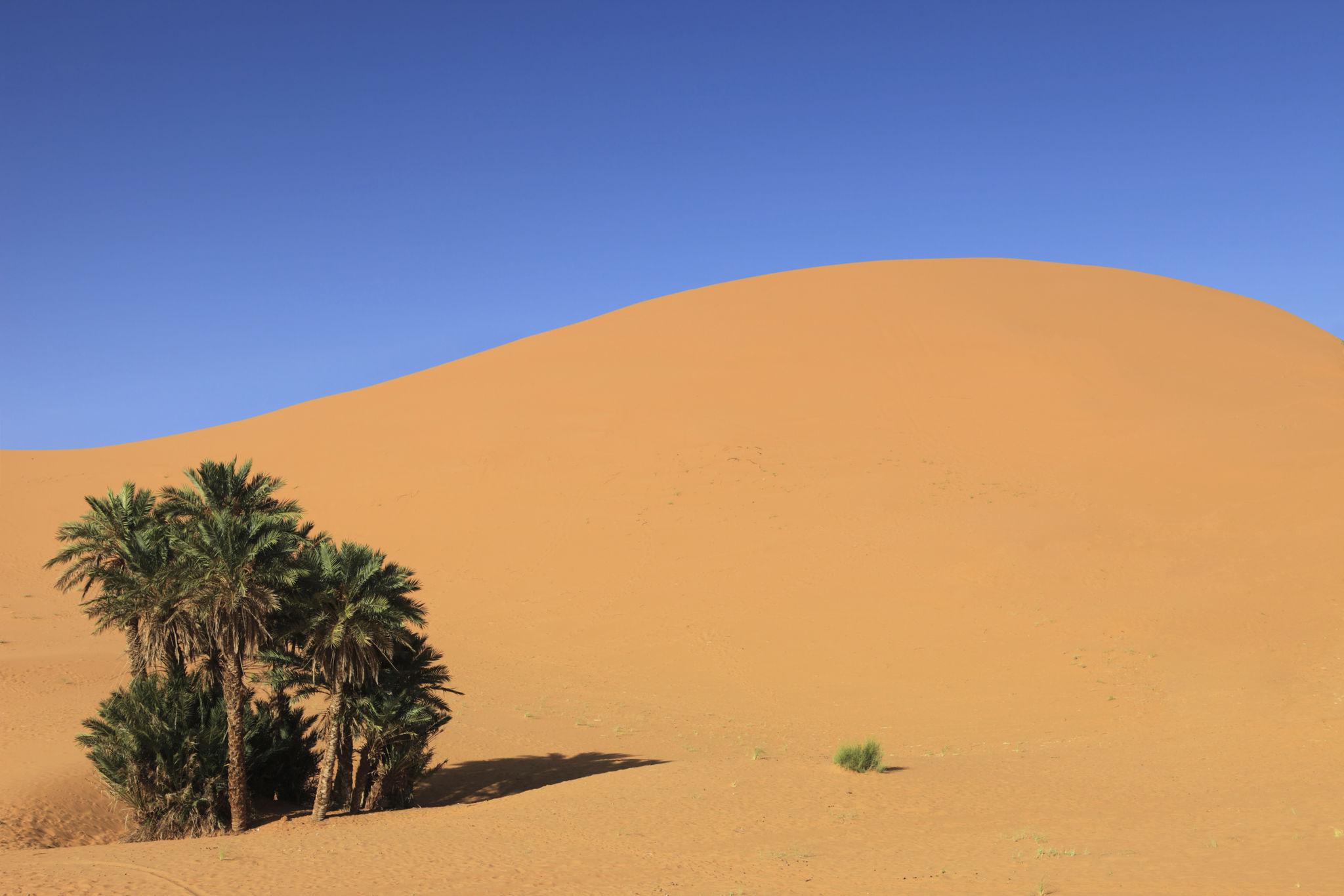 7-day tour: El Mharech & Ramlia - photo 3