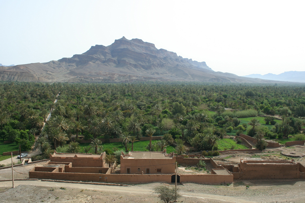 2 Days in the Zagora Desert - photo 4