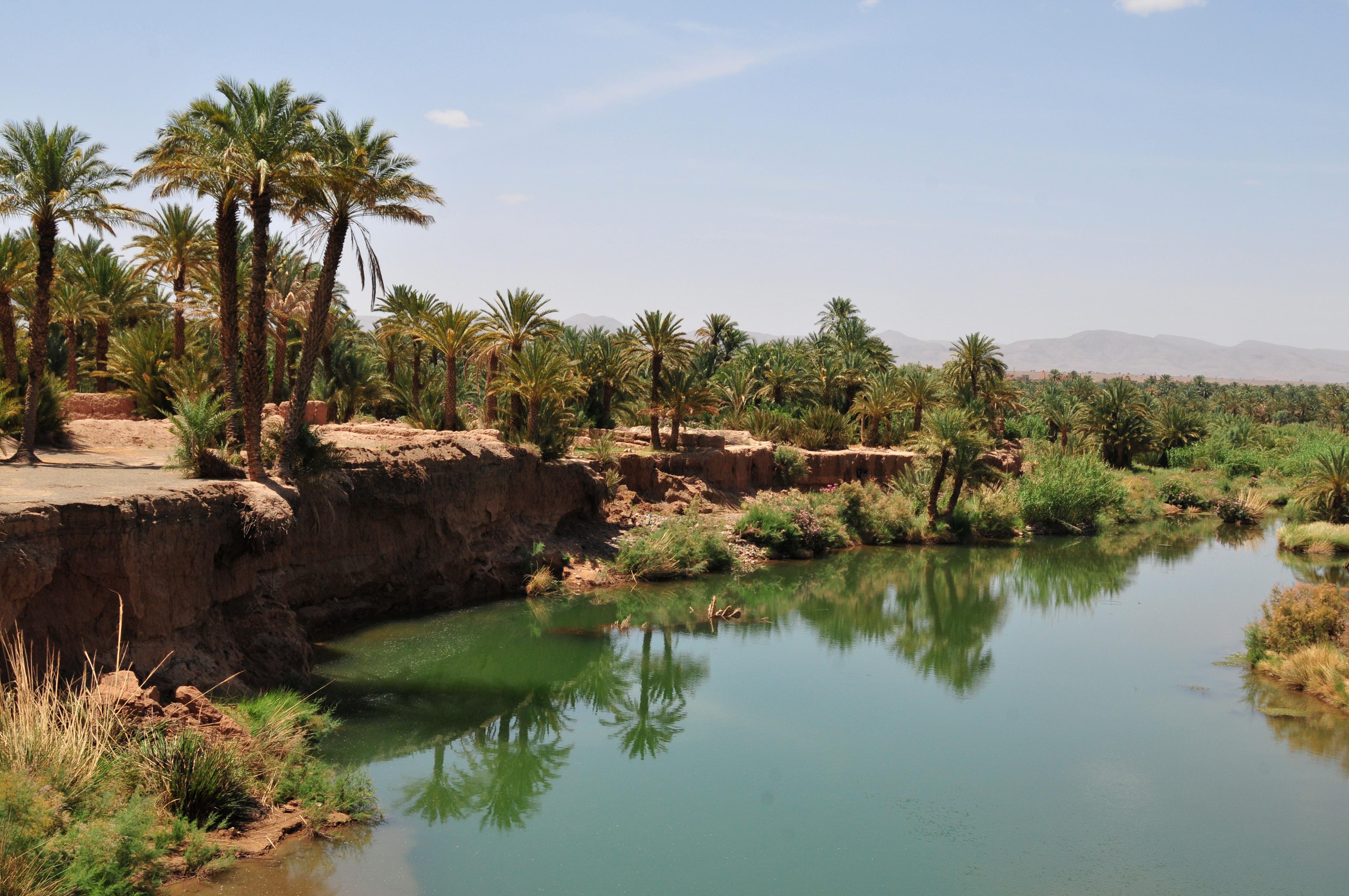 3 Days at the Dunes of Merzouga - photo 5