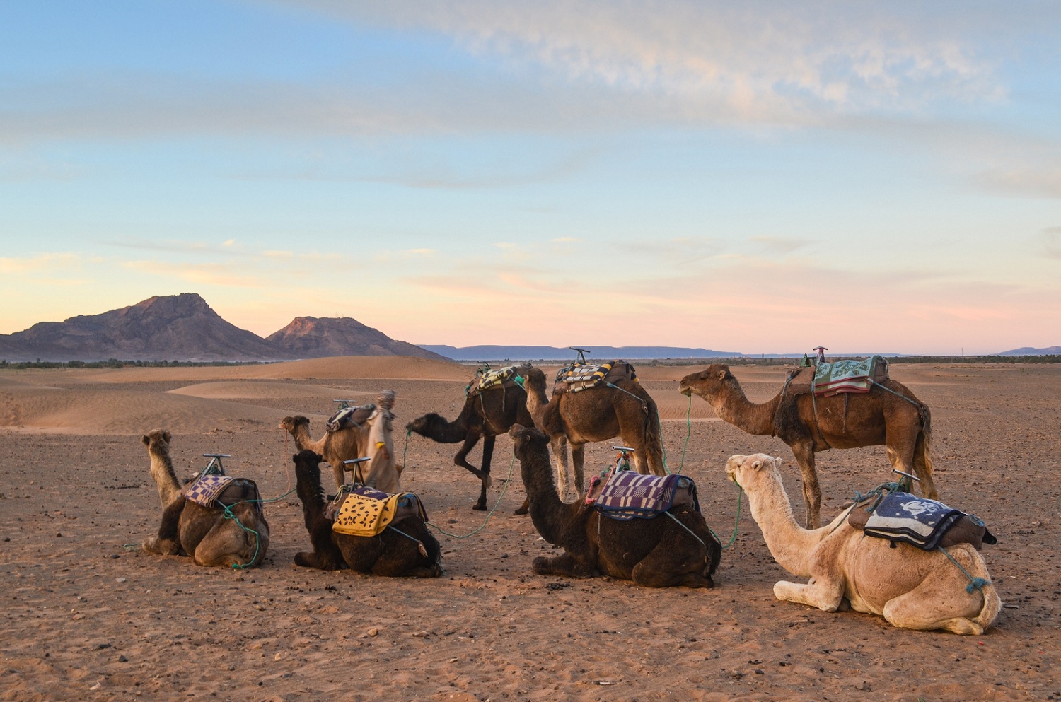 Erg Chegaga 3-Day Tour