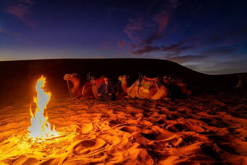 Marrakech Merzouga Fez 3-Day Tour