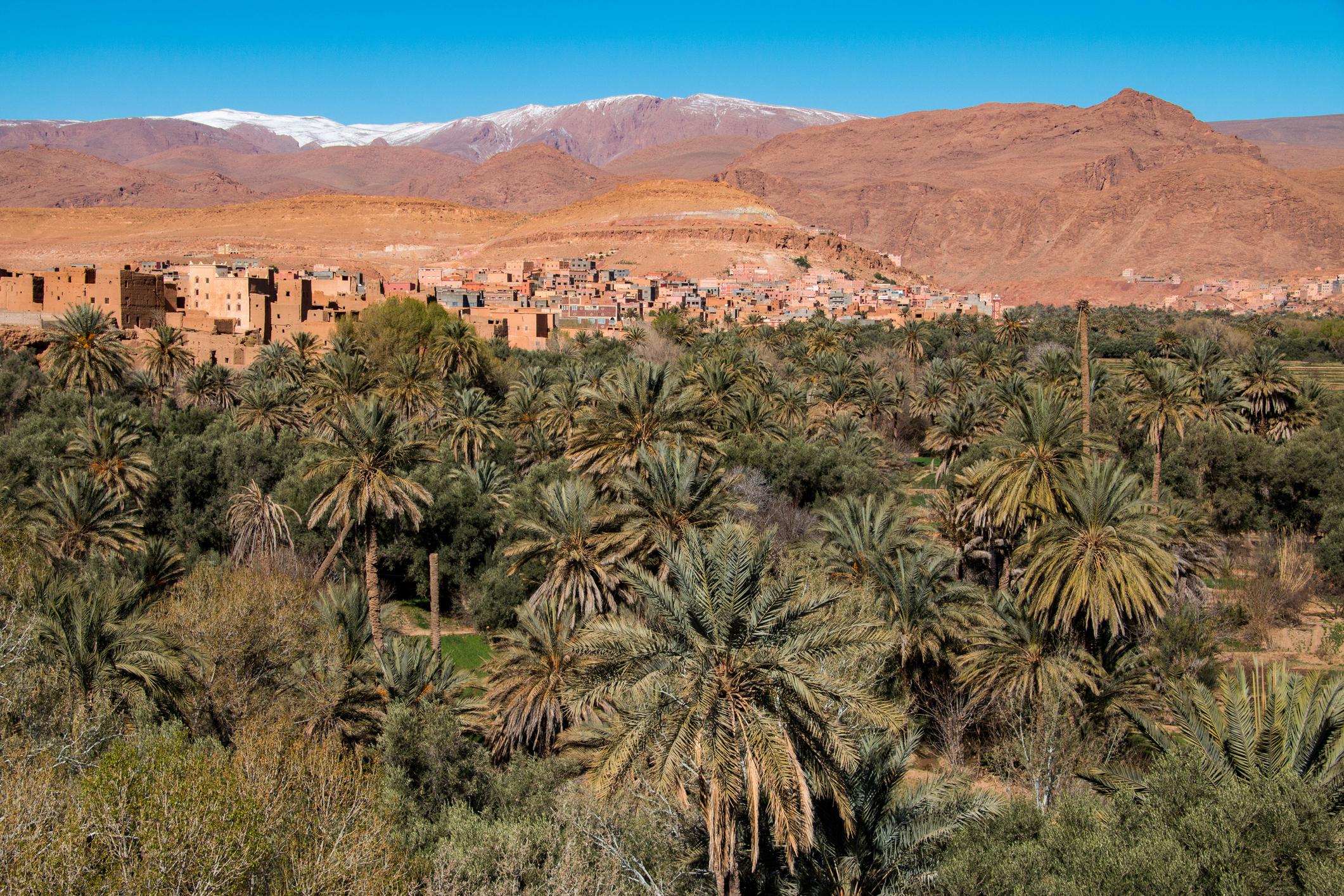 Marrakech Merzouga Fez 3-Day Tour - photo 2