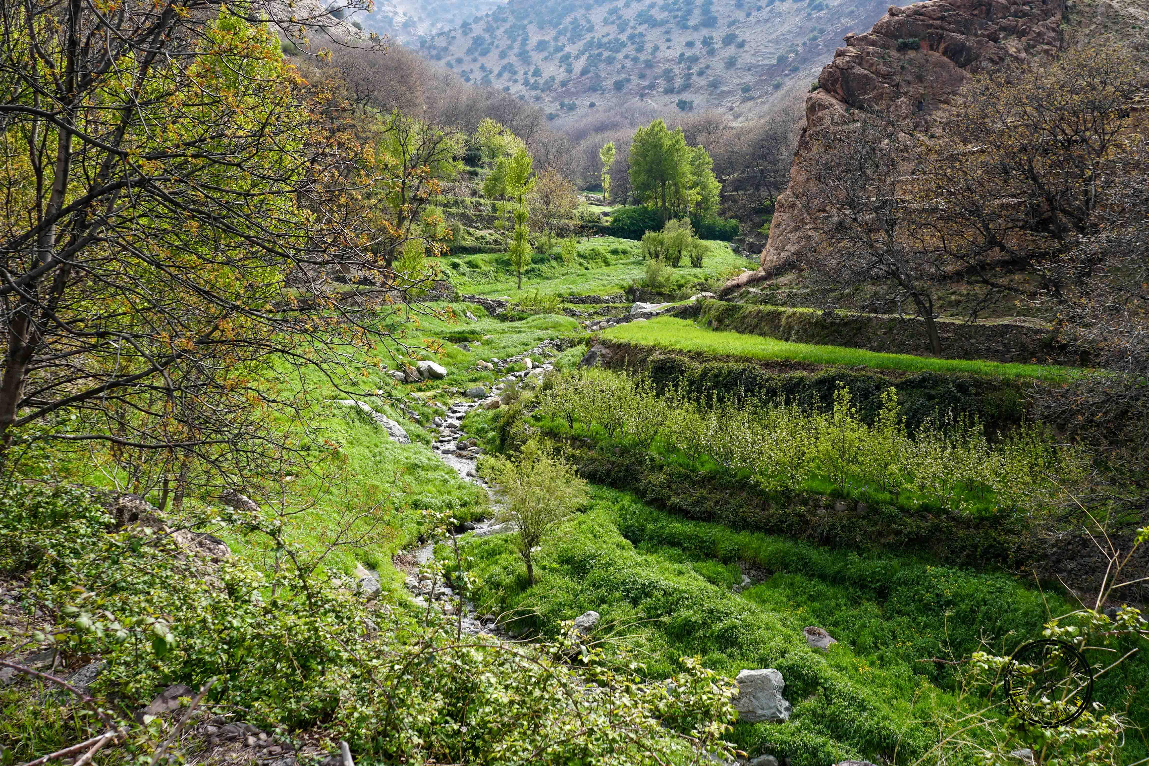 Excursion & Trek to the Zat Valley