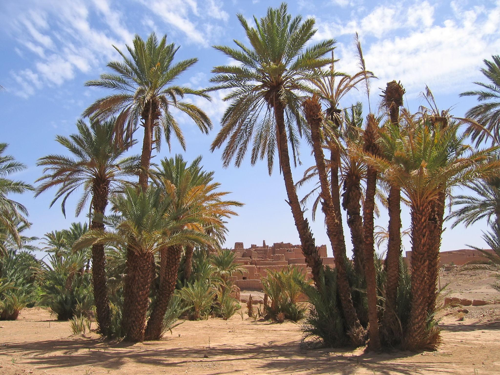 Ouarzazate - Agdez - Draa Valley - Zagora