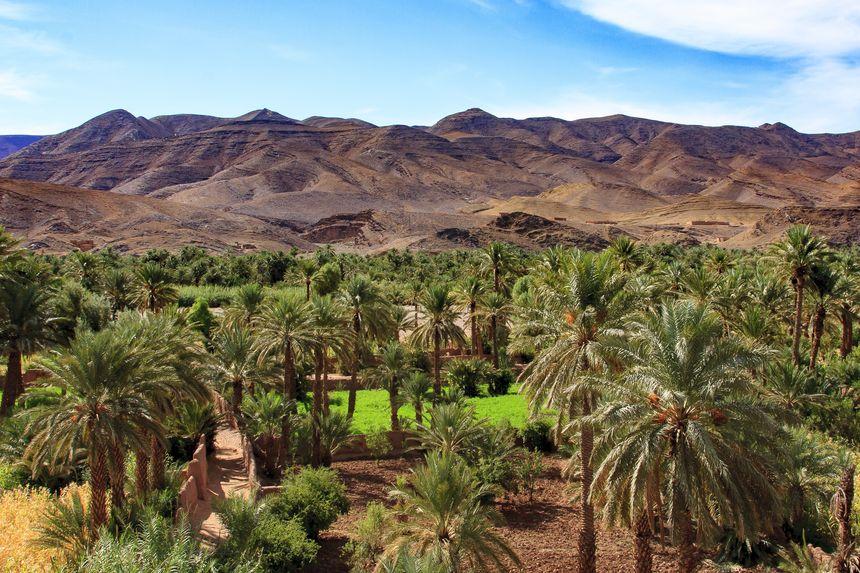 Zagora – Draa Valley – Ouarzazate – Marrakech