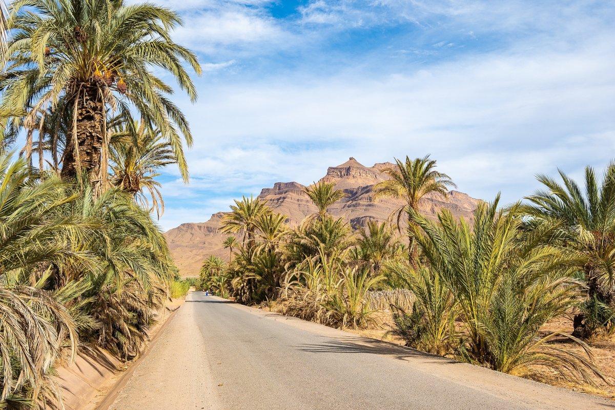Merzouga – Fez (467 Km)