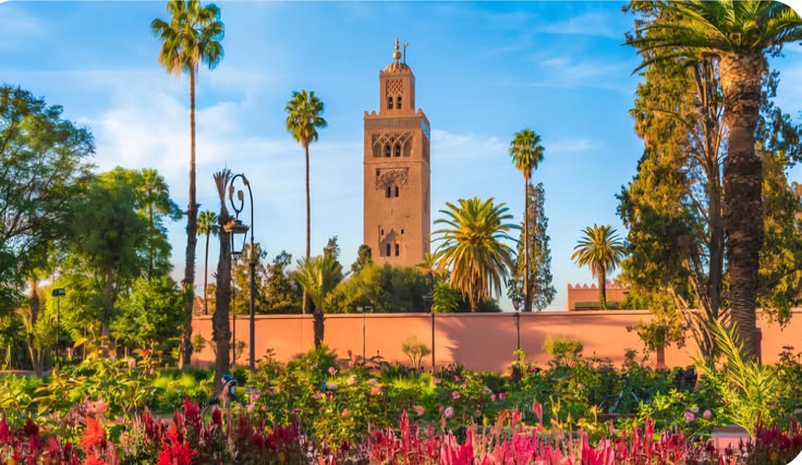 Marrakech full day visit
