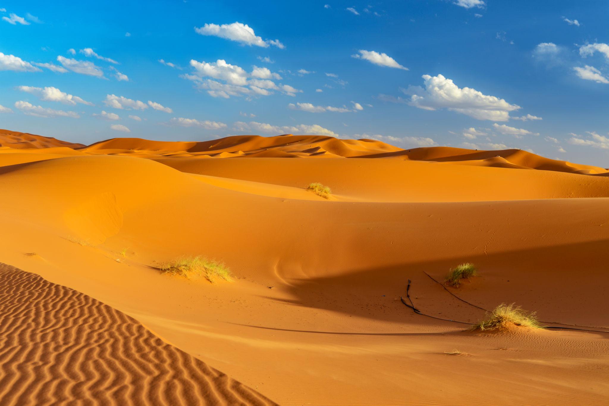 Ouarzazate - Dades – Todra Gorgeous – Erfoud